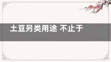 土豆另类用途 不止于做菜 (类似土豆的东西是什么)